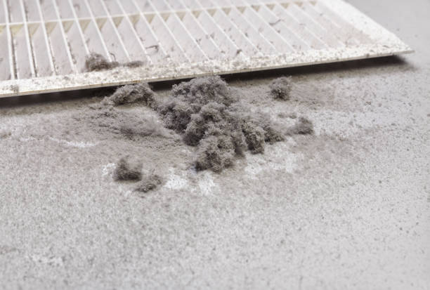 Best Commercial HVAC Duct Cleaning  in Ithaca, MI