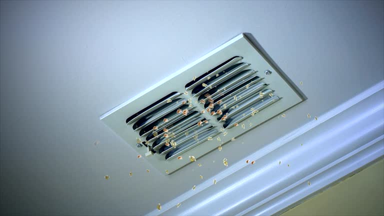 Best Residential Air Duct Cleaning  in Ithaca, MI