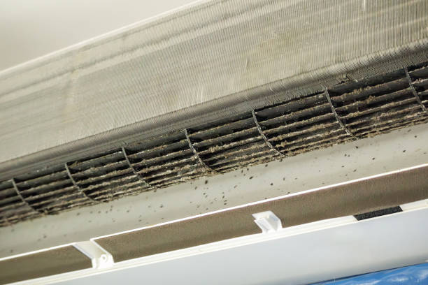 Best Affordable Duct Cleaning Services  in Ithaca, MI