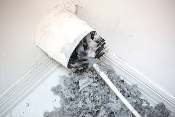 Best Air Vent Cleaning Services  in Ithaca, MI
