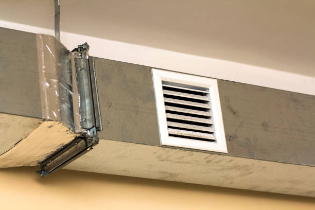 Best HVAC Duct Inspection Services  in Ithaca, MI